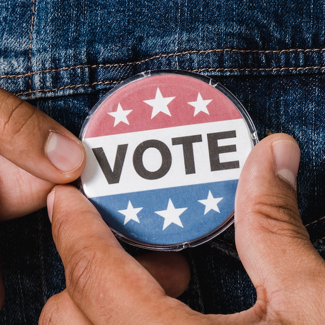 Pro-grade voter protection volunteers — VoPro Pros